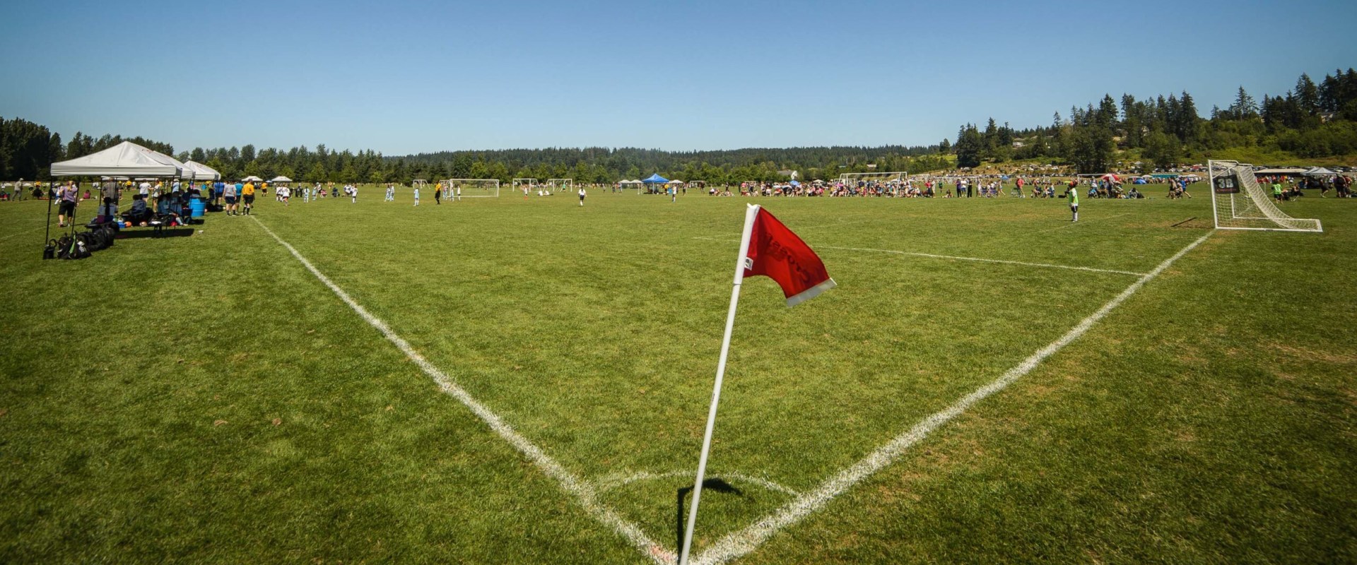 Exploring the Co-Ed Soccer Clubs in King County, Washington